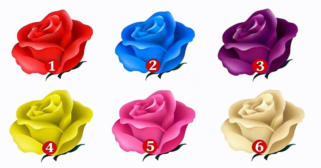 What's your floral vibe?