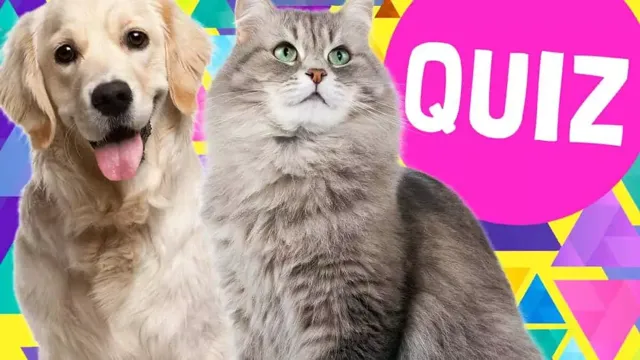Are you a cat or dog?